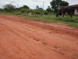 Paraguay-Tierra