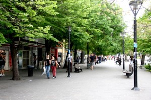 Para los viejos platenses, la 51 está irreconocible: “Desapareció hasta la rambla fundacional que vertebraban bancos de madera y elegantes faroles decimonínicos con pie”, escribe Painceira. Foto: Gabriela Hernández