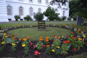 El jardín levantado por los familiares en la entrada del palacio municipal, sobre la calle 12.